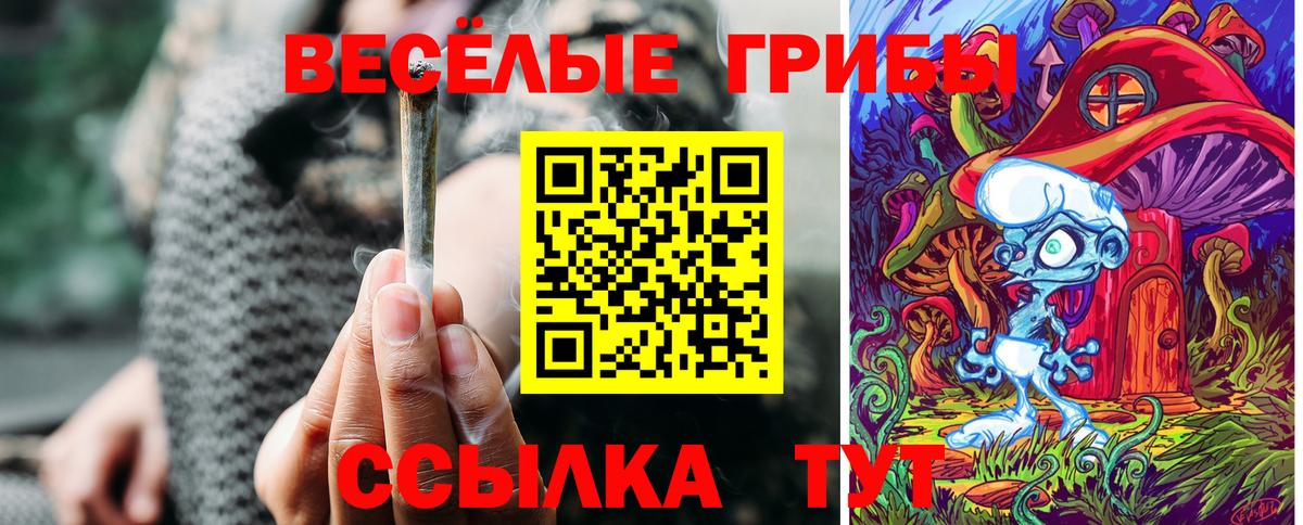 Псилоцибиновые грибы ЛСД  Вход с VPN  Псилоцибиновые грибы Psilocybe  где купить наркоту  Старая Купавна 