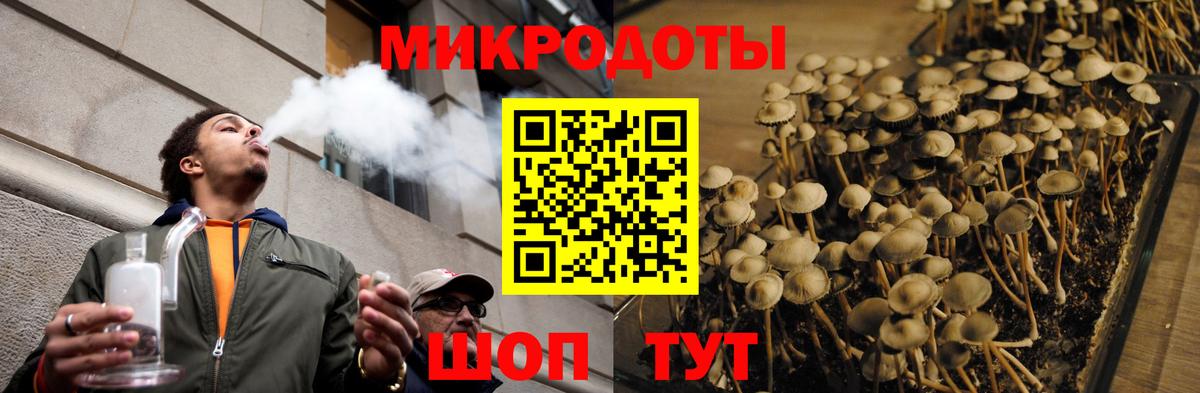 Галлюциногенные грибы мицелий Старая Купавна